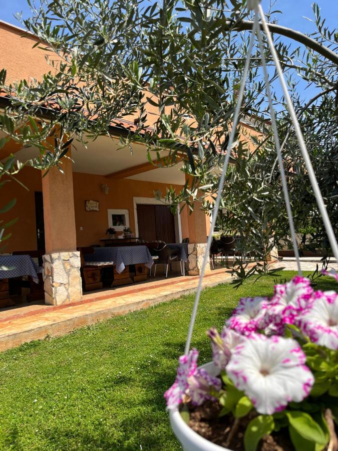 Bed & Breakfast Danica